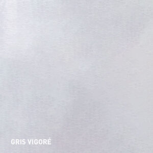 Gris Vigore