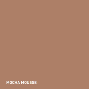 Mocha Mousse